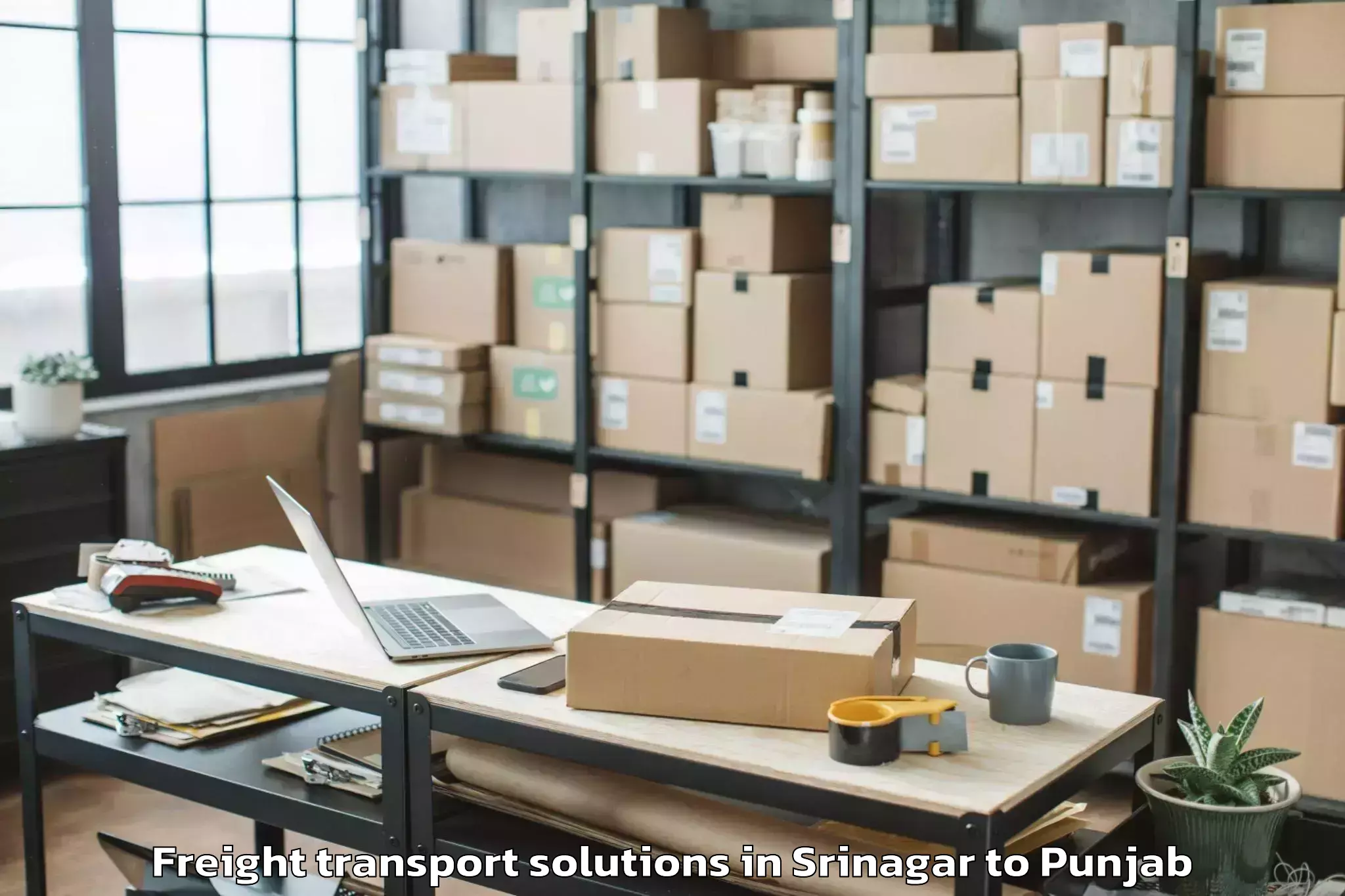 Trusted Srinagar to Sultanpur Lodhi Freight Transport Solutions